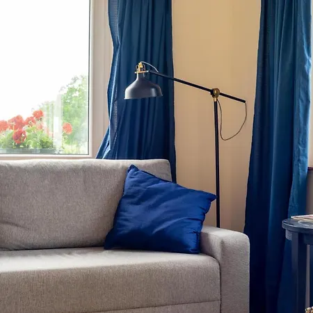 Dandelion Vendeghazak Kisapati