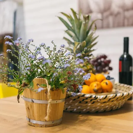 Dandelion Vendeghazak Case de vacanță