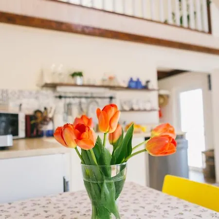 Dandelion Vendeghazak * Kisapati