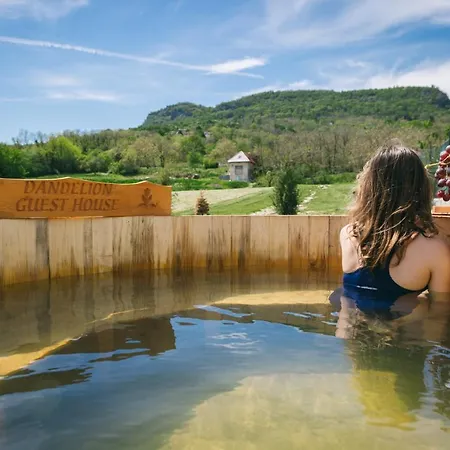 Dandelion Vendeghazak