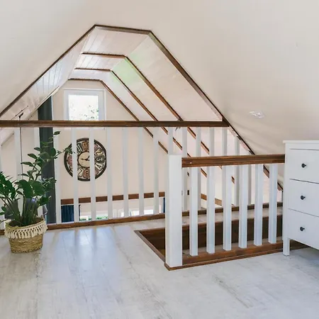 Dandelion Vendeghazak *