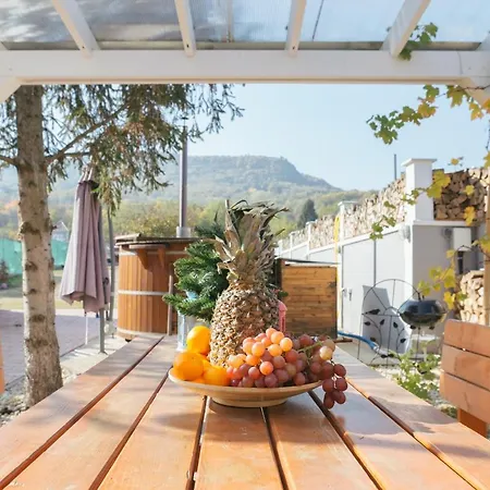 Dandelion Vendeghazak