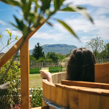 Dandelion Vendeghazak Tatil Evi