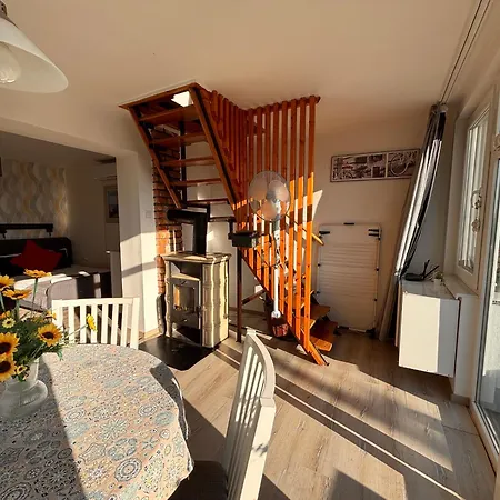 Dandelion Vendeghazak